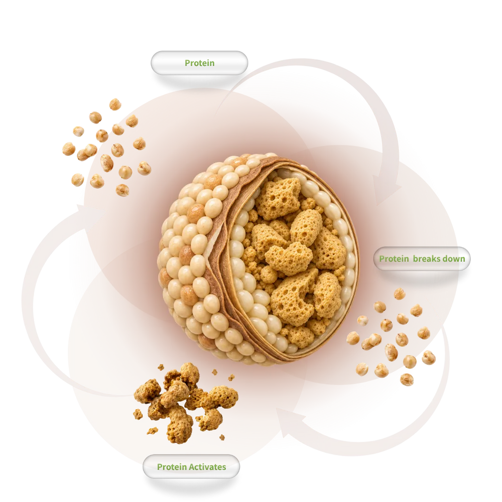 Protease process